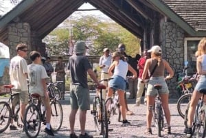 From Nairobi: 2-Day Naivasha Safari with Accommodation