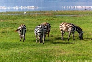 From Nairobi: 2-Day Naivasha Safari with Accommodation