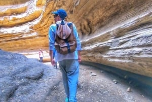 From Nairobi: 2-Day Naivasha Safari with Accommodation