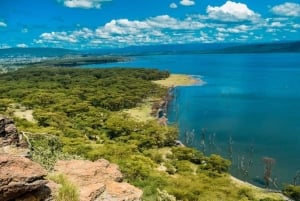 From Nairobi: 2-Day Naivasha Safari with Accommodation