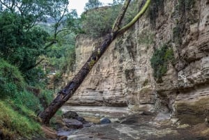 From Nairobi: 2-Day Naivasha Safari with Accommodation