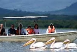 From Nairobi: 2-Day Naivasha Safari with Accommodation