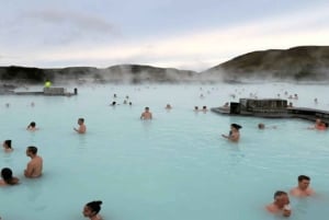 From Nairobi: 2-Day Naivasha Safari with Accommodation