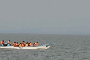 From Nairobi: 2-Day Naivasha Safari with Accommodation