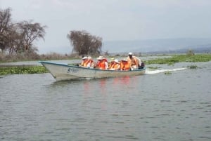 From Nairobi: 2-Day Naivasha Safari with Accommodation