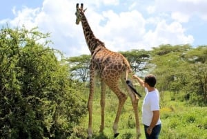 From Nairobi: 2-Day Naivasha Safari with Accommodation