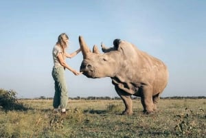 ナイロビ発：オル・ペジェタ保護区への2日間1泊サファリ