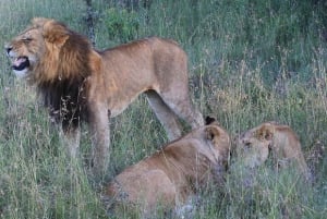 ナイロビ発：オル・ペジェタ保護区への2日間1泊サファリ