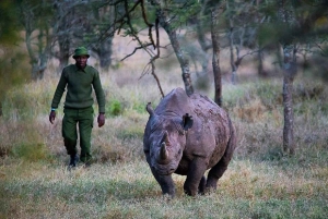 A partir de Nairobi: Safari de 2 dias e 1 noite para a Reserva Ol Pejeta