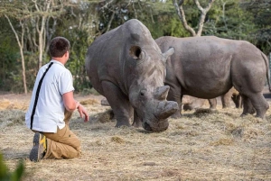 A partir de Nairobi: Safari de 2 dias e 1 noite para a Reserva Ol Pejeta