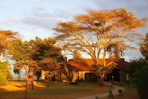 A partir de Nairobi: Safari de 2 dias e 1 noite para a Reserva Ol Pejeta