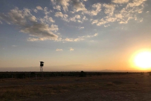 A partir de Nairobi: Safari de 2 dias e 1 noite para a Reserva Ol Pejeta