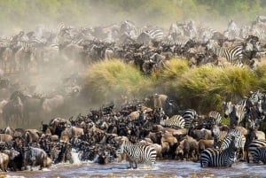 Desde Nairobi: Safari en grupo de 3 días y 2 noches a Maasai Mara