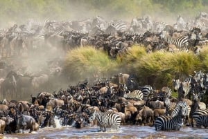Au départ de Nairobi : Safari en groupe de 3 jours/2 nuits dans le Maasai Mara
