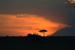 From Nairobi: 3-Day/2-Night Maasai Mara Group Safari