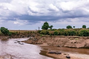 From Nairobi: 3-Day/2-Night Maasai Mara Group Safari