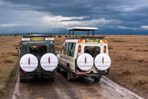 From Nairobi: 3-Day/2-Night Maasai Mara Group Safari