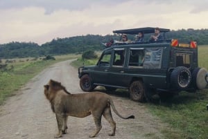 Fra Nairobi; 3-dages/2-nætters Masaai Mara gruppesafari