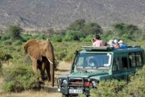 From Nairobi: 3-Day Amboseli National Park Safari