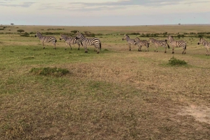 From Nairobi: 3 Day Game Drive To Masai Mara National Park