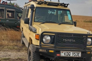 From Nairobi: 3-Day Maasai Mara Group Safari by Landcruiser