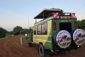 From Nairobi: 3-Day Maasai Mara Group Safari by Landcruiser