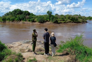 From Nairobi: 3-Day Maasai Mara Group Safari by Landcruiser