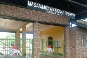 From Nairobi: 3-Day Maasai Mara Group Safari by Landcruiser