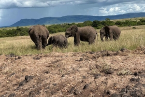 From Nairobi: 3-Day Maasai Mara Group Safari by Landcruiser