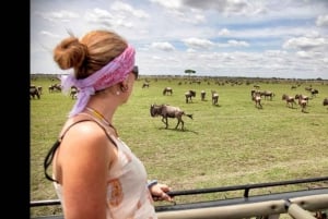 From Nairobi: 3-Day Masai Mara Park Luxury Jeep Safari