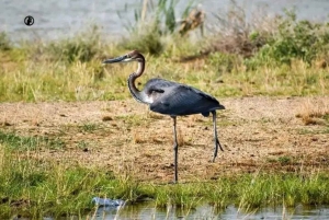 ナイロビ発：シビロイ国立公園＆コービ・フォラ3日ツアー