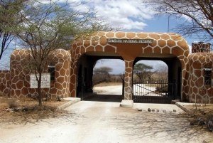 Z Nairobi: 3-dniowa wycieczka do rezerwatu Samburu National Reserve