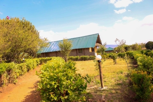 Depuis Nairobi : Safari de 3 jours en groupe à Masai Mara en Landcruiser