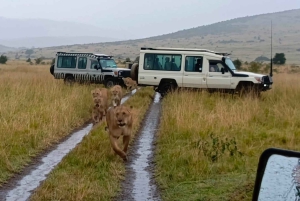 Depuis Nairobi : Safari de 3 jours en groupe à Masai Mara en Landcruiser