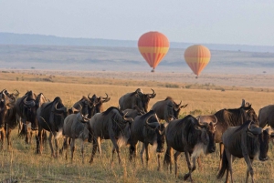 From Nairobi: 3-Days 2-Nights Maasai Mara Safari Experience