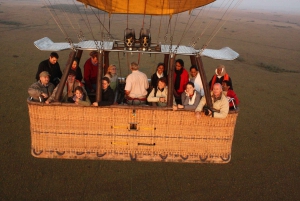 From Nairobi: 3-Days 2-Nights Maasai Mara Safari Experience