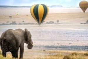 Nairobista: 3 päivää 2 yötä Masai Mara ryhmäsafari