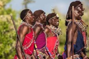 Nairobista: 3 päivää 2 yötä Masai Mara ryhmäsafari