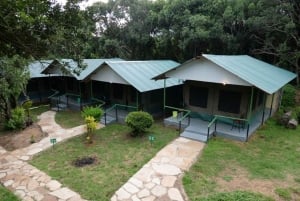 Fra Nairobi: 3 dage og 2 nætter Masai Mara gruppesafari