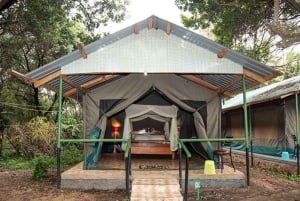 Fra Nairobi: 3 dage og 2 nætter Masai Mara gruppesafari