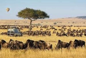 Fra Nairobi: 3 dage og 2 nætter Masai Mara gruppesafari