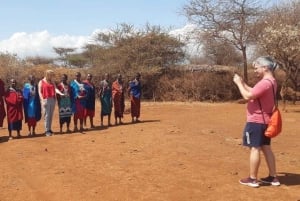 Fra Nairobi: 3 dage og 2 nætter Masai Mara gruppesafari