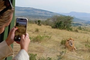 De Nairobi: 3 dias e 2 noites de Safari do Grupo Maasai Mara