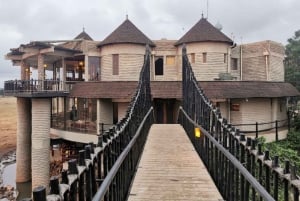 From Nairobi: 3 Days 2Nights Tsavo West Saltlick Taita Hills