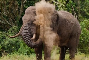 De Nairóbi: excursão de 3 dias a Amboseli