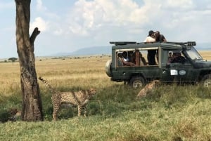 De Nairóbi: excursão de 3 dias a Amboseli