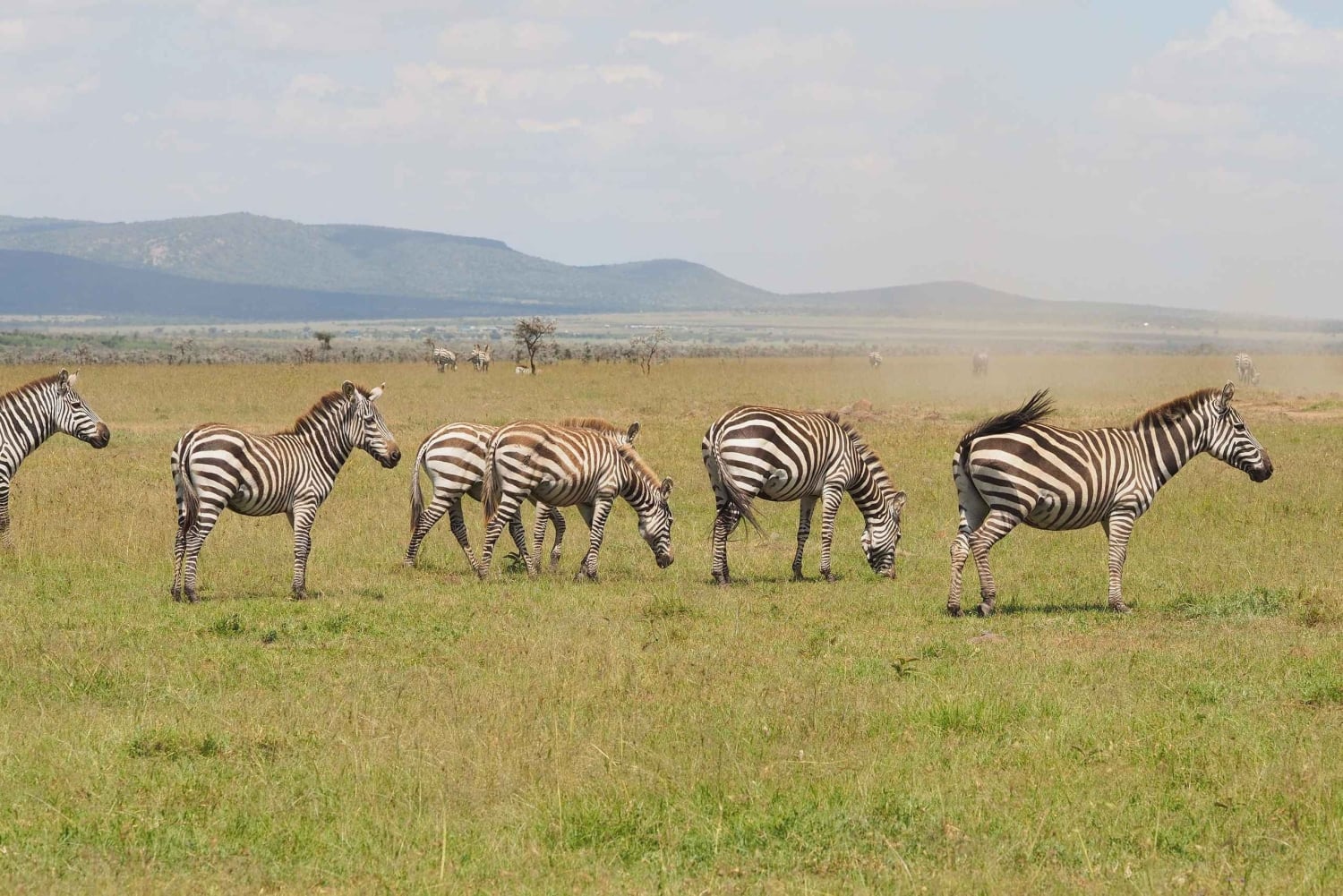 From Nairobi: 3 - Days Maasai Mara Group Safari by 4WD