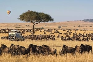 From Nairobi: 3 - Days Maasai Mara Group Safari by 4WD