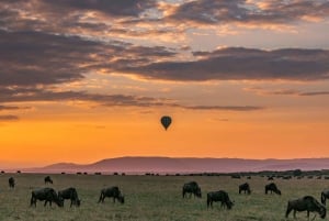 From Nairobi: 3 - Days Maasai Mara Group Safari by 4WD