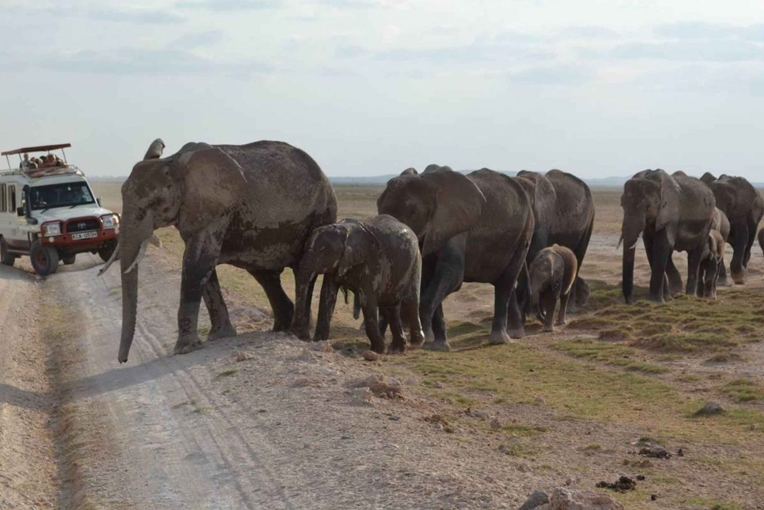 Z Nairobi: 4-dniowe safari Amboseli i Tsavo z noclegiem